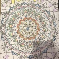 Maya wanderer 🇺🇸🕉️ (@mayadaexplorer) 's Twitter Profile