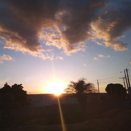 JosSouza1595601's profile picture. 