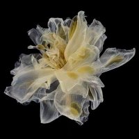 zaya (@nuralqmr) 's Twitter Profile Photo