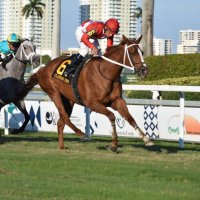 Entre Hipicos Bets (@entrehipicosbet) 's Twitter Profile Photo Entre Hipicos Bets (@entrehipicosbet) 's Twitter Profile Photo