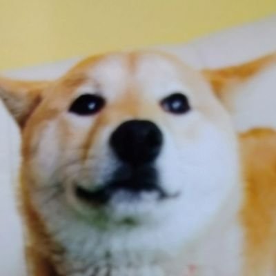 乗っ取りではありません!
不注意で24年7月に前アカウントに入れなくなってしまいました💦
フォロー申請徐々にしますので、またよろしくお願いします🙇