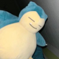 Herr Relaxo (@herrsnorlax) 's Twitter Profile