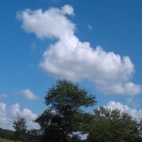 John F. Sorg (@1991_dogmatic) 's Twitter Profile Photo John F. Sorg (@1991_dogmatic) 's Twitter Profile Photo