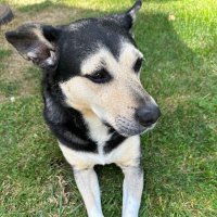 Gutenberg (GreggLabs) (@gregglabs) 's Twitter Profile