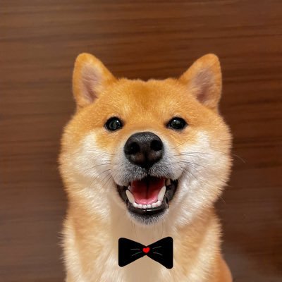 RYizhe Profile Picture