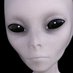 Steven (@steven15802813) Twitter profile photo Steven (@steven15802813) Twitter profile photo