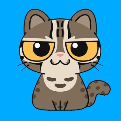 aslanspp's profile picture. 