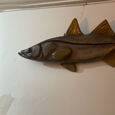 Leitokno's profile picture. 