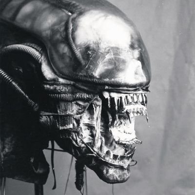 real__xenomorph's profile picture. (parody, not a bot) You will all become hosts to our offspring. Your bodies feed our parasites. you will become part of the hive(no art here is mine)
