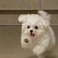 꾜。 (@recxrd_luv) 's Twitter Profile
