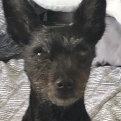 ryan74012878668's profile picture. 