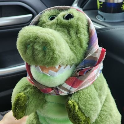 wallycrocodile's profile picture. わにのワーリー【割田わに平/わに吉/わに代】+いっぱい❗のアカウントに🐊インスタもやってるに～☺
