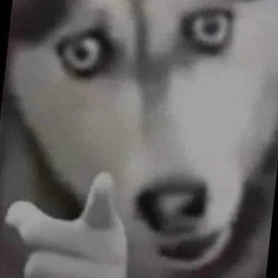 johnmccainscrac's profile picture. I love my wife, kids, beer, and country.