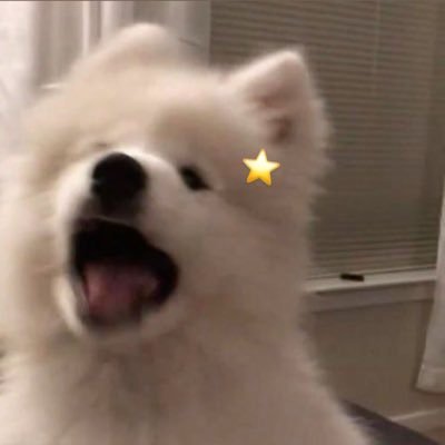 mii___i63's profile picture. ₺ƾ₺ƾおもちでぽあぽあ𝓑𝓪𝓫𝔂しゃん