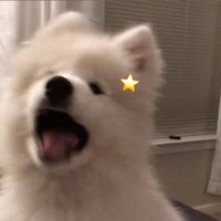 みちゃん☆ (@mii___i63) 's Twitter Profile