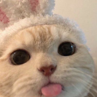 06lixx_'s profile picture. 