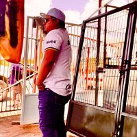 el terremoto (@el_terremotode) 's Twitter Profile