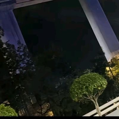 anteto36902's profile picture. 