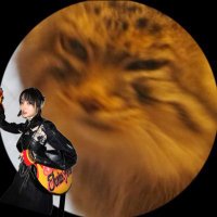 ねっこぱわー (@nekko_power_) 's Twitter Profile