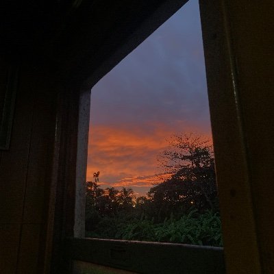 MlAdilan's profile picture. He