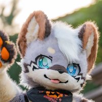 ゆうき (@amami_fox_yuuki) 's Twitter Profile Photo ゆうき (@amami_fox_yuuki) 's Twitter Profile Photo