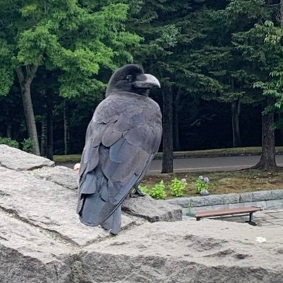 T4dvwD0hPJZbgjb's profile picture. 