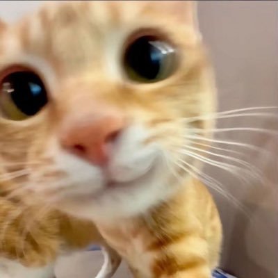 BubuEquisdeee's profile picture. 