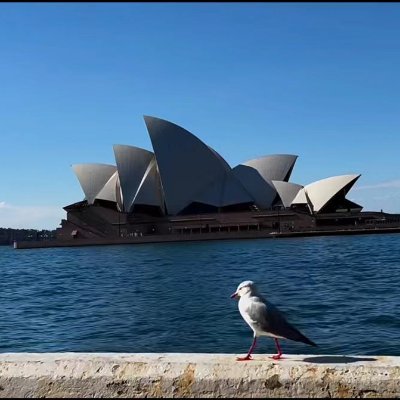 hazle18974's profile picture. Horseradish sauce is my favorite condiment named after mustang spooge.