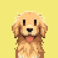 寻回犬AKi (@goldendogaki) Twitter profile photo