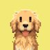寻回犬AKi (@goldendogaki) Twitter profile photo 寻回犬AKi (@goldendogaki) Twitter profile photo
