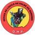Office de l'Huile de Palme (@ohpburundi) Twitter profile photo Office de l'Huile de Palme (@ohpburundi) Twitter profile photo