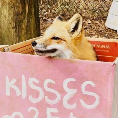 Zoosexual Yeen Im into humans Too!
PHILOSOPHER
SELF-PROCLAIMED 148 IQ ELITE MENSA MEMBER
VEGAN
18 +
*kills @shibbackup*
KinkAcct: @zooeyeenpriv