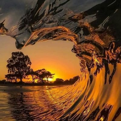 Off1c1alDr3w's profile picture. Science | Adventure | Cars