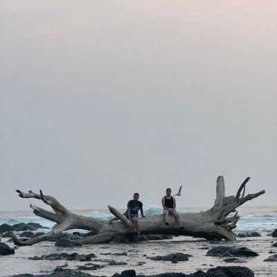 10_qesp's profile picture. 🏎️🚗🇲🇽