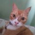 Mbak Hayu π (@mbakhayu) Twitter profile photo Mbak Hayu π (@mbakhayu) Twitter profile photo