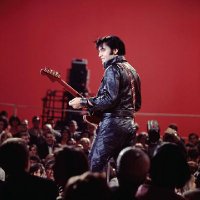 Elvis en català. (@en_elvis) 's Twitter Profile Photo Elvis en català. (@en_elvis) 's Twitter Profile Photo