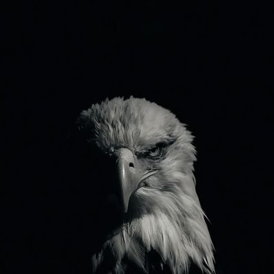 _ankittwts's profile picture. figuring out...