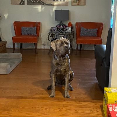 Divester_Killah's profile picture. Native Black 🇺🇸eau claire Michigan 💪🏽🖤 #ReparationsNow #SaveFlintMichigan #SaveBentonHarborMichigan #SaveMason TN