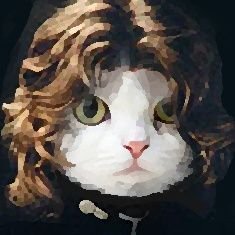 Montes_quieuさんのプロフィール画像