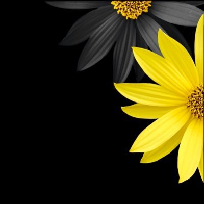 ama_terath's profile picture. Model3 2023,6月～ / 日本語/ English /テスラーさんと繋がりたいです！気軽にフォローしてください！ 無言フォロー失礼します！#テスラーツーリング部 #テスラスタバ部