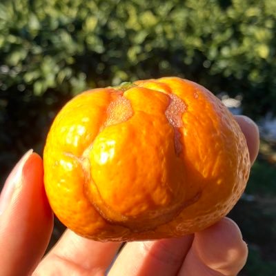 KANANdokonan's profile picture. Always in my heart "STAY GOLD"