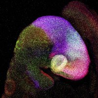 Copp&Greene labs (@ntds_research) 's Twitter Profile