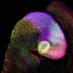 Copp&Greene labs (@ntds_research) Twitter profile photo Copp&Greene labs (@ntds_research) Twitter profile photo