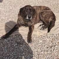 inotton (@inotton) 's Twitter Profile