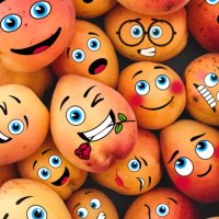 ROCKY (@rocky2337) 's Twitter Profile