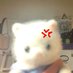 achi saw BND ⋆✴︎˚。⋆ (@sz4rah) Twitter profile photo achi saw BND ⋆✴︎˚。⋆ (@sz4rah) Twitter profile photo