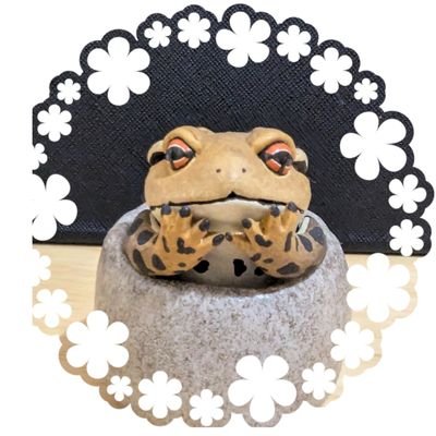 kero_ren's profile picture. バイク🏍️と蛙🐸とゴリラとオカヤドカリが好きです✨難病持ち❗障害者❤️初代シーズー🌈二代目保護犬ヨーキー🌈
オカヤドカリ、飼ってます❗🐚🌴