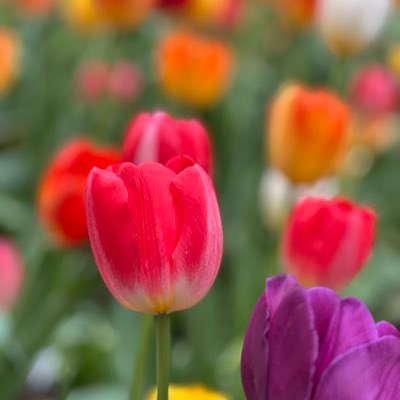 Camila28dc's profile picture. I’m into music, books, art, IR/geopolitics, poetry and a bunch of other things. PharmD from 🇧🇷