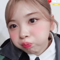 m (@mihoemon_) 's Twitter Profile Photo