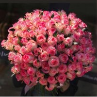 Dr. Sarah Alqahtani (@saras_alqahtani) 's Twitter Profile